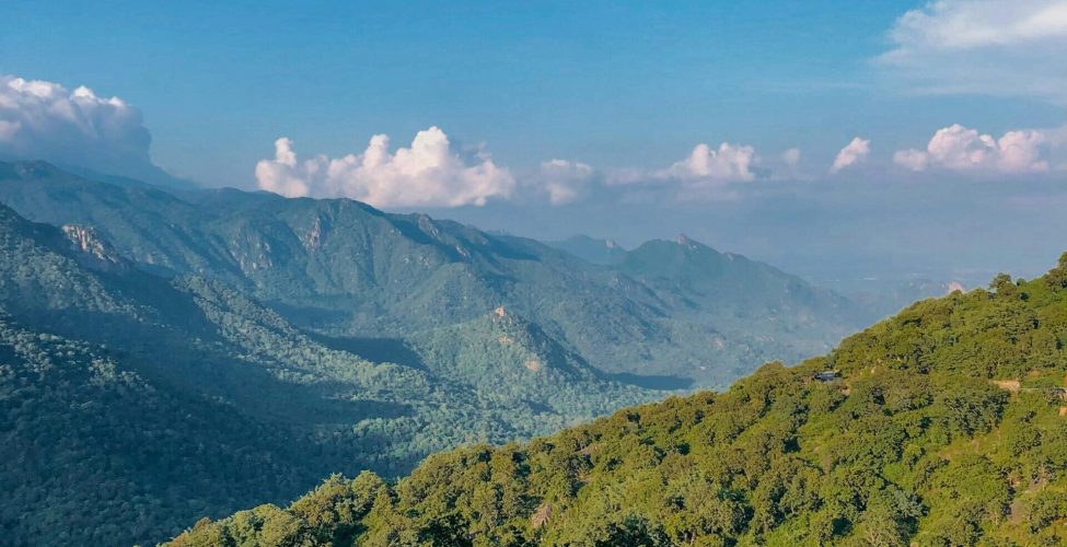 pexels-rahul-desai-852142-12377755